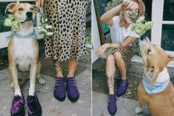 A9494 Women Ultra Violet 3-Buckle Pointed Creeper Boot