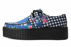 V3039 Floral Hodgepodge Viva Creeper